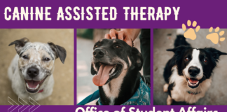 MIDTERM DESTRESS WITH CANINE THERAPY